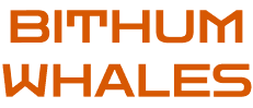 BITHUM WHALES